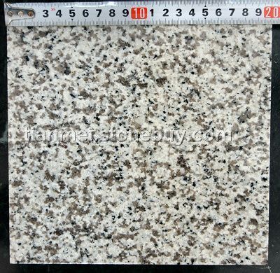 供應(yīng)優(yōu)質(zhì)廣東白麻花崗巖石材 - 替代美國(guó)白麻與山東白麻的理想選擇